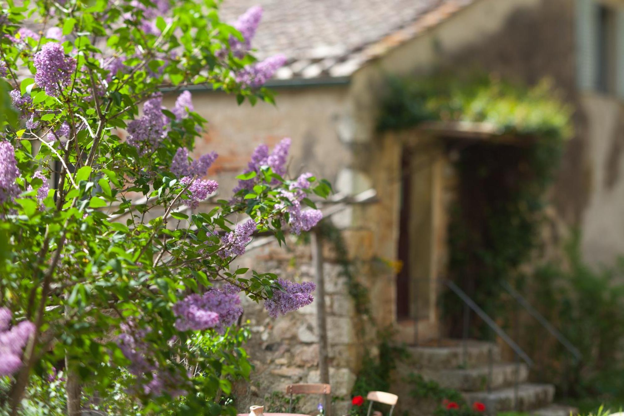 Tenuta Di Spannocchia Rosia ภายนอก รูปภาพ